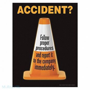 SAFETYPOSTER.COM Safety Poster 22 in x 17 in Paper, 35LG24
