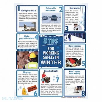 SAFETYPOSTER.COM Safety Poster 22 in x 17 in Paper, 35LG36