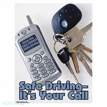 SAFETYPOSTER.COM Safety Poster 22 in x 17 in Paper, 35LH05