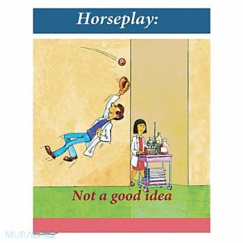 SAFETYPOSTER.COM Safety Poster 22 in x 17 in Paper, 35LH08