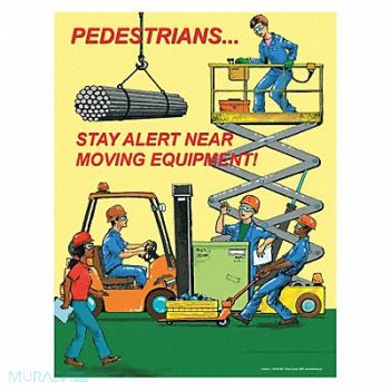 SAFETYPOSTER.COM Safety Poster 22 in x 17 in Paper, 35LH10