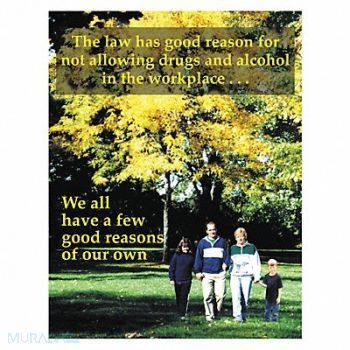 SAFETYPOSTER.COM Safety Poster 22 in x 17 in Paper, 35LH28