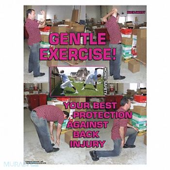 SAFETYPOSTER.COM Safety Poster 22 in x 17 in Paper, 35LH31