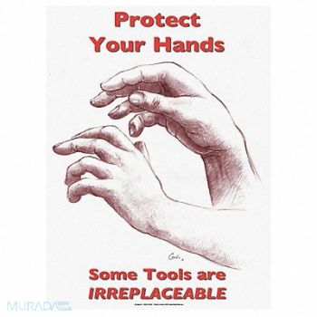 SAFETYPOSTER.COM Safety Poster 22 in x 17 in Paper, 35LH36