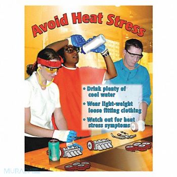 SAFETYPOSTER.COM Safety Poster 22 in x 17 in Paper, 35LH37