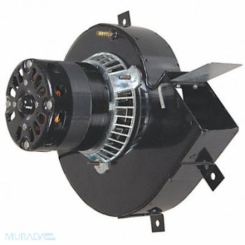 PACKARD Draft Inducer 5-1/32in. H 115V, 35PT75