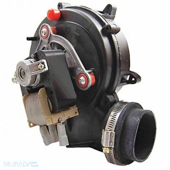 PACKARD Draft Inducer 5-1/4in. H 115V, 35PT77