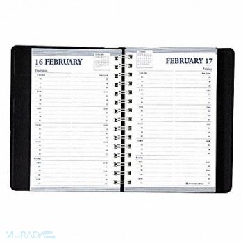 HOUSE OF DOOLITTLE Appointment Book Daily, 35X131