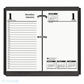 HOUSE OF DOOLITTLE Calendar Refill Daily 3-1/2 x 6 In White, 35X173