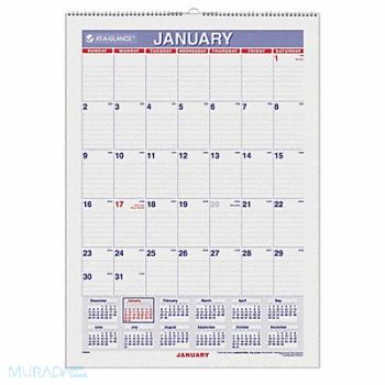 AT-A-GLANCE Laminated Wall Calendar 12x17 In., 35X202