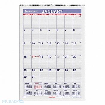 AT-A-GLANCE Laminated Wall Calendar 15-1/2x22-3/4 In, 35X203