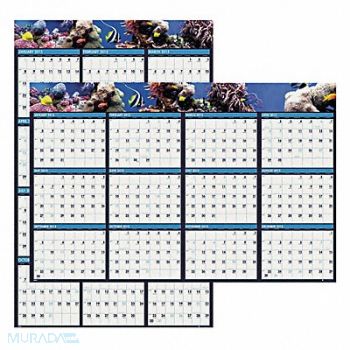 HOUSE OF DOOLITTLE Wall Calendar Reverse/Erase 24x37 In., 35X220