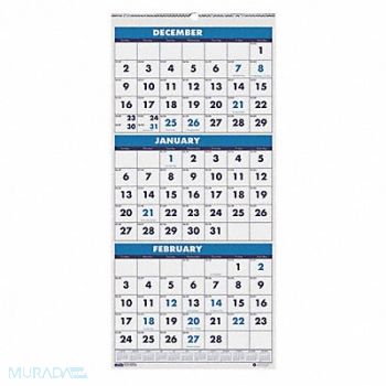 HOUSE OF DOOLITTLE Wall Calendar 12-1/4x27 In., 35X236