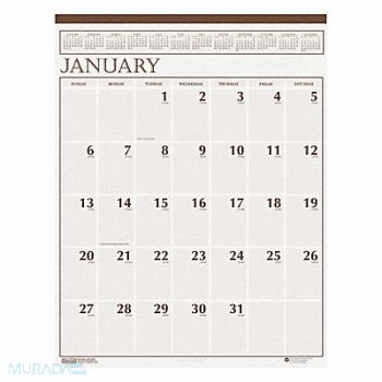 HOUSE OF DOOLITTLE Monthly Wall Calendar Lg Print 20x26 In., 35X256