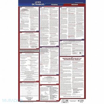 JJ KELLER Labor Law Poster Fed/STA IN SP 26inH 3yr, 36ET16