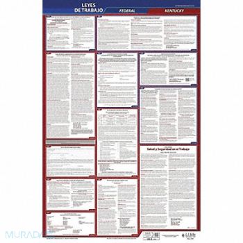JJ KELLER Labor Law Poster Fed/STA KY SP 26inH 3yr, 36ET18