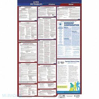 JJ KELLER Labor Law Poster Fed/STA ME SP 26inH 3yr, 36ET22