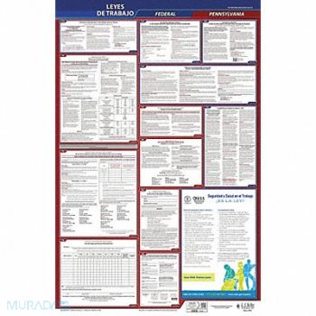 JJ KELLER Labor Law Poster Fed/STA PA SP 26inH 3yr, 36ET39