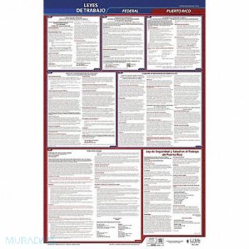 JJ KELLER Labor Law Poster Fed/STA PR SP 26inH 3yr, 36ET40