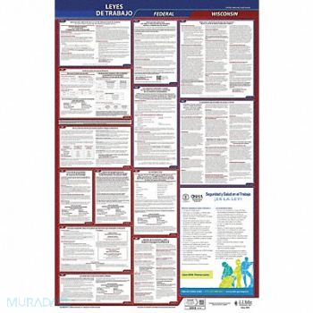 JJ KELLER Labor Law Poster Fed/STA WI SP 26inH 3yr, 36ET51