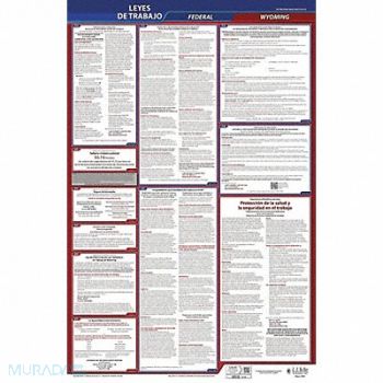 JJ KELLER LaborLaw Poster STA WY ENG 40Wx26inH 3yr, 36ET53