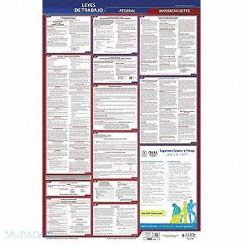 JJ KELLER Labor Law Poster Fed/STA MA SP 26inH 3yr, 36ET20