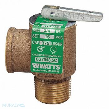 WATTS Steam Safety Relief Valve 2-3/4 in., 36JC12