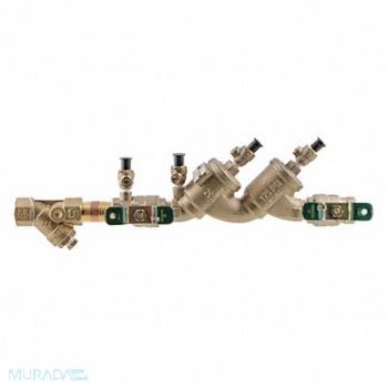 Double Check Valve Watts 719 3/4in FNPT, 36JC66