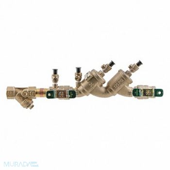 Double Check Valve Watts 719 1in FNPT, 36JC67