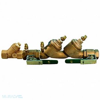 Double Check Valve Watts719 1-1/4in FNPT, 36JC68