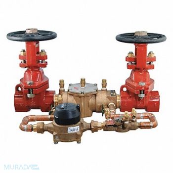 Double Check Detector Watts 007 2in FNPT, 36JC85