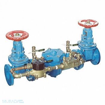 WATTS Double Check Detector 007 3in Flanged, 36JC87