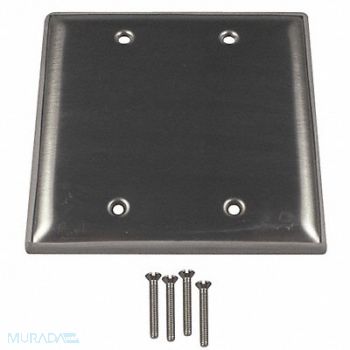 CALBRITE Electrical Box Cover Blank 4-1/2 in., 36LM19