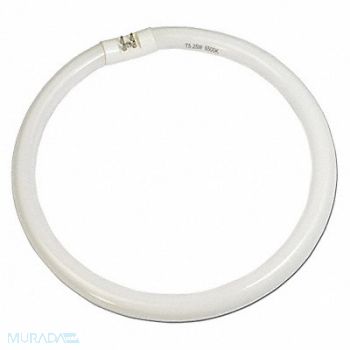 GRAINGER APPROVED Replacement Lamp, 36ND62