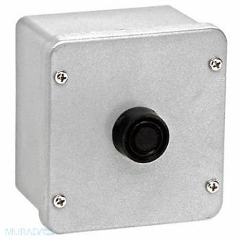 AMERICAN GARAGE DOOR SUPPLY Control Station 1 Button Surface Mount, 36R993