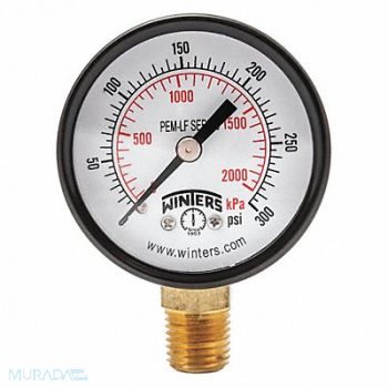 WINTERS J1379 Gauge Pressure 0 to 300 psi 2 in, 20JN25