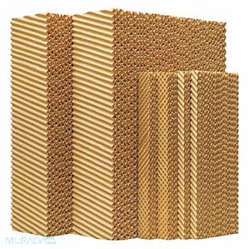 CHAMPION Media Set 8 In, 36VG24