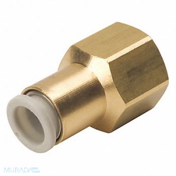 SMC Female Adapter 10mm TubexFemale BSPT, 36X171