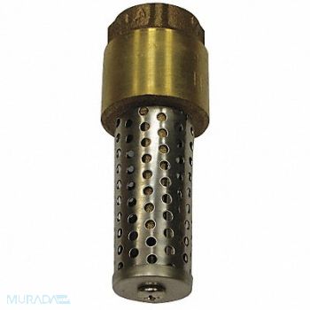 CAMPBELL Foot Valve Spring Brass 2, 36Y056