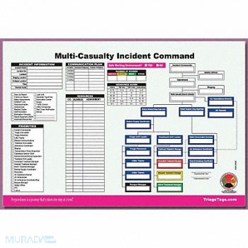 DISASTER MANAGEMENT SYSTEMS Multi-Casualty ICS Worksheet PK25, 38E609