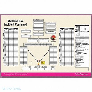 DISASTER MANAGEMENT SYSTEMS Wildland Fire ICS Worksheet PK25, 38E612