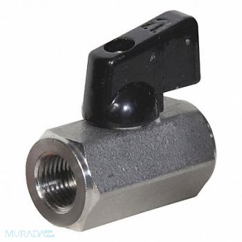 GRAINGER APPROVED Mini Ball Valve SS FNPT X FNPT 1/8inPipe, 38EG09