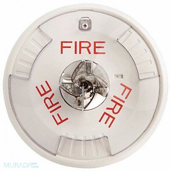 WHEELOCK Strobe 12/24VDC White 6-11/16 in H, 38GV27