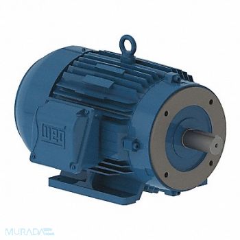 WEG 15 Hp Motor, 38H181