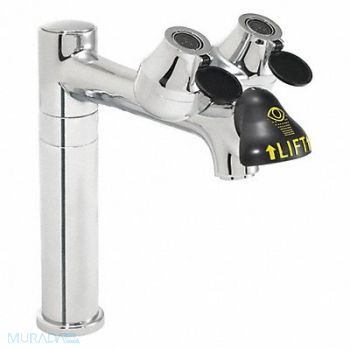 SPEAKMAN Eyewash/Faucet with Spout, 38HW21