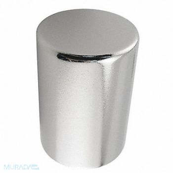 GRAINGER APPROVED Disc Magnet Neodymium 1 in dia., 38HY90