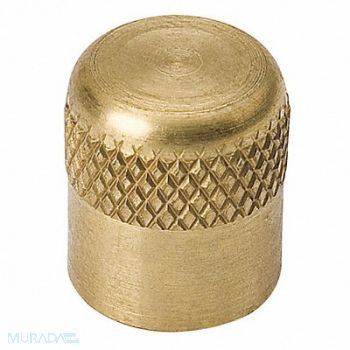 MUELLER 1/4 SAE Cap Brass 700 psi, 38N867