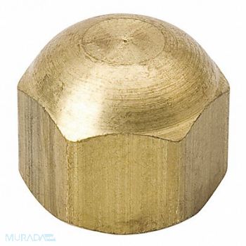 MUELLER 1/4 SAE Cap Brass 700 psi Max, 38N868