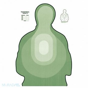 ACTION TARGET US Treasury Style Transtar II Green PK25, 38NE57