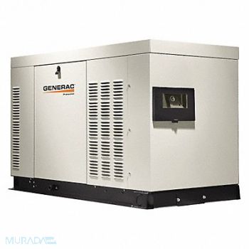 GENERAC Auto Standby Generator 30 LP/30 NGkW, 38NF89